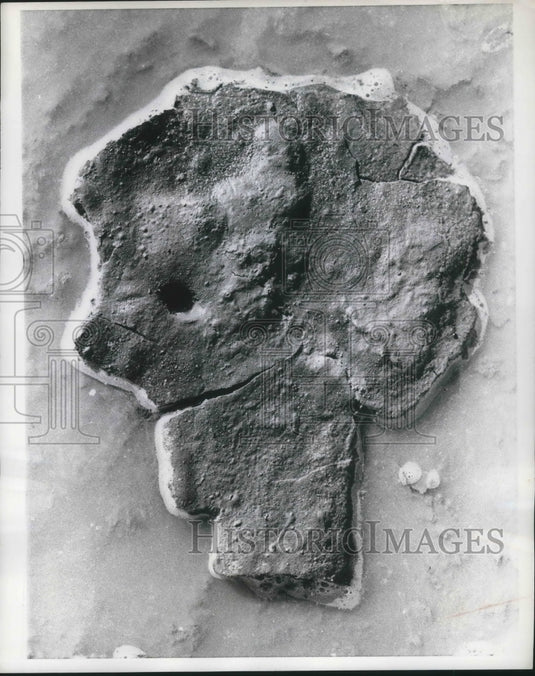 1968 Press Photo Nature's gallery of mud faces - nec76821