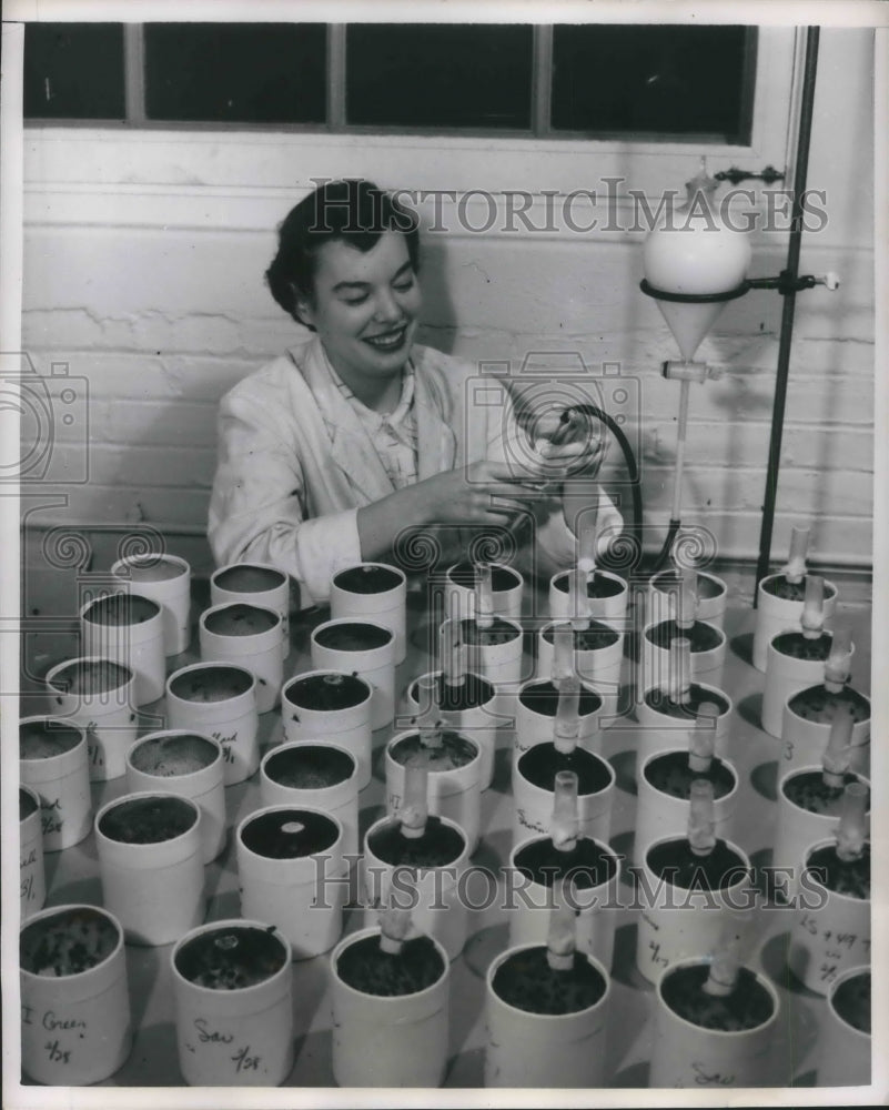 1951 Press Photo Assistant at Willis Bruce Fly Farm Feeds Flies Milk and Water