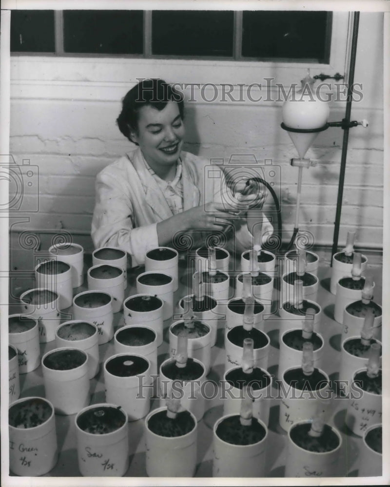 Load image into Gallery viewer, 1951 Press Photo Assistant at Willis Bruce Fly Farm Feeds Flies Milk and Water

