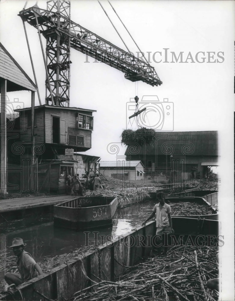 1965 Press Photo La Bonne Intention plantation