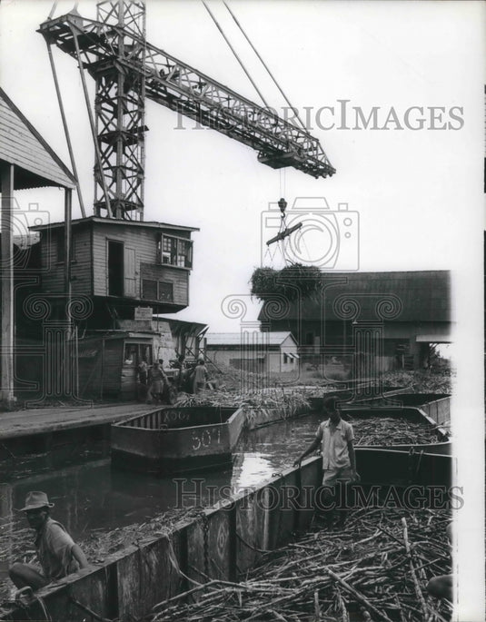 1965 Press Photo La Bonne Intention plantation