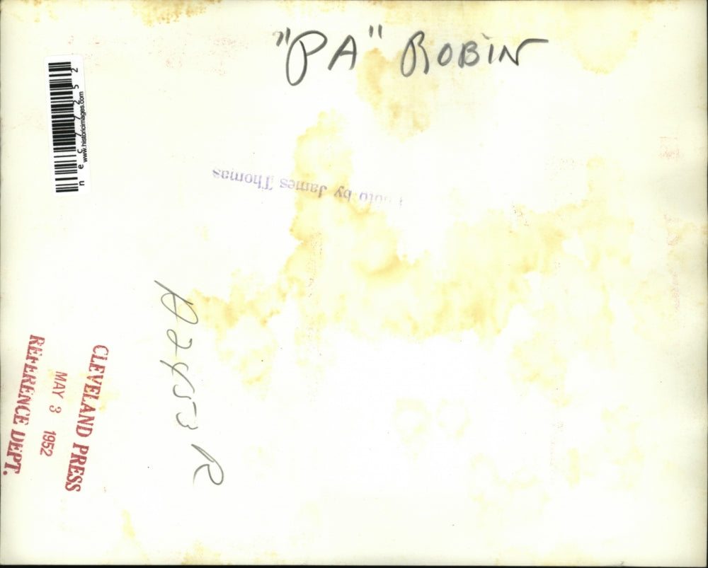 1952 Press Photo "Papa" Robin fixing his egg filled nest