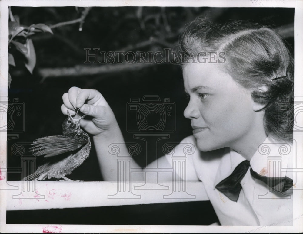1956 Press Photo Miss Roberta Fleming feeds Robin redbreast a worm