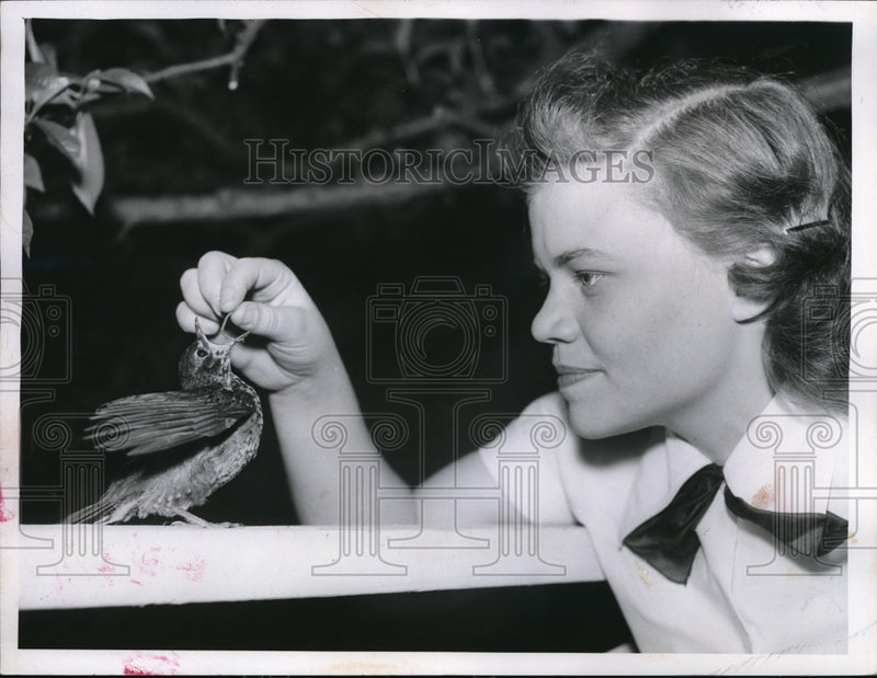 Load image into Gallery viewer, 1956 Press Photo Miss Roberta Fleming feeds Robin redbreast a worm

