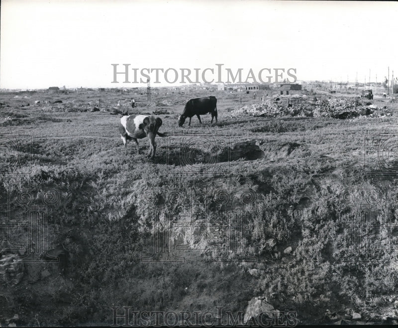 Load image into Gallery viewer, 1948 Press Photo Section of Stalingrad where thousands of Russian workers lived
