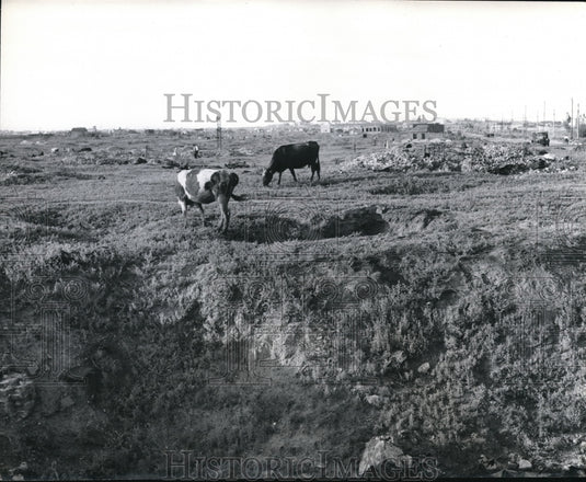 1948 Press Photo Section of Stalingrad where thousands of Russian workers lived