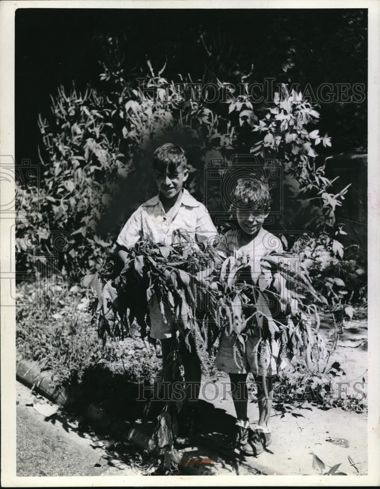 Load image into Gallery viewer, 1943 Press Photo Carmen Delmostro &amp; Charles Rons w/ ragweed torn from roadside
