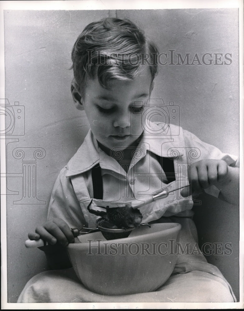Load image into Gallery viewer, 1956 Press Photo Richard bathed Nicky the bird
