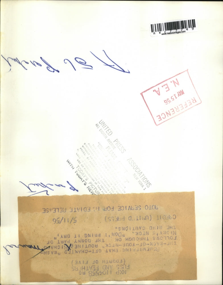 1956 Press Photo Richard bathed Nicky the bird