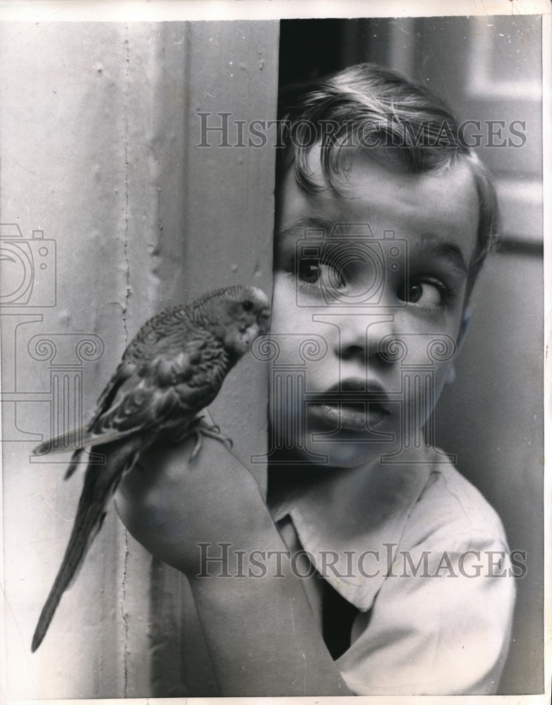 1956 Press Photo 4 year old Richard Maurel with his pet parakeet - nec77751
