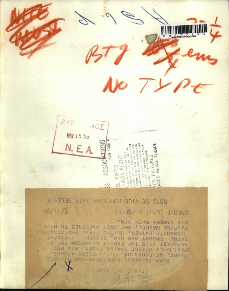 1956 Press Photo 4 year old Richard Maurel with his pet parakeet - nec77751