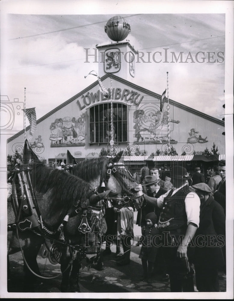 1950 Press Photo Munich Beer Festival&#39;s traditional &quot;beer leader&quot; and Horse Team- Historic Images