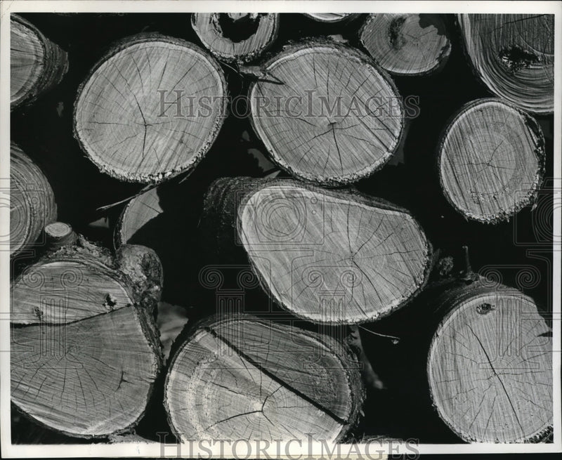 Load image into Gallery viewer, 1961 Press Photo logs in a woodpile for winter heating
