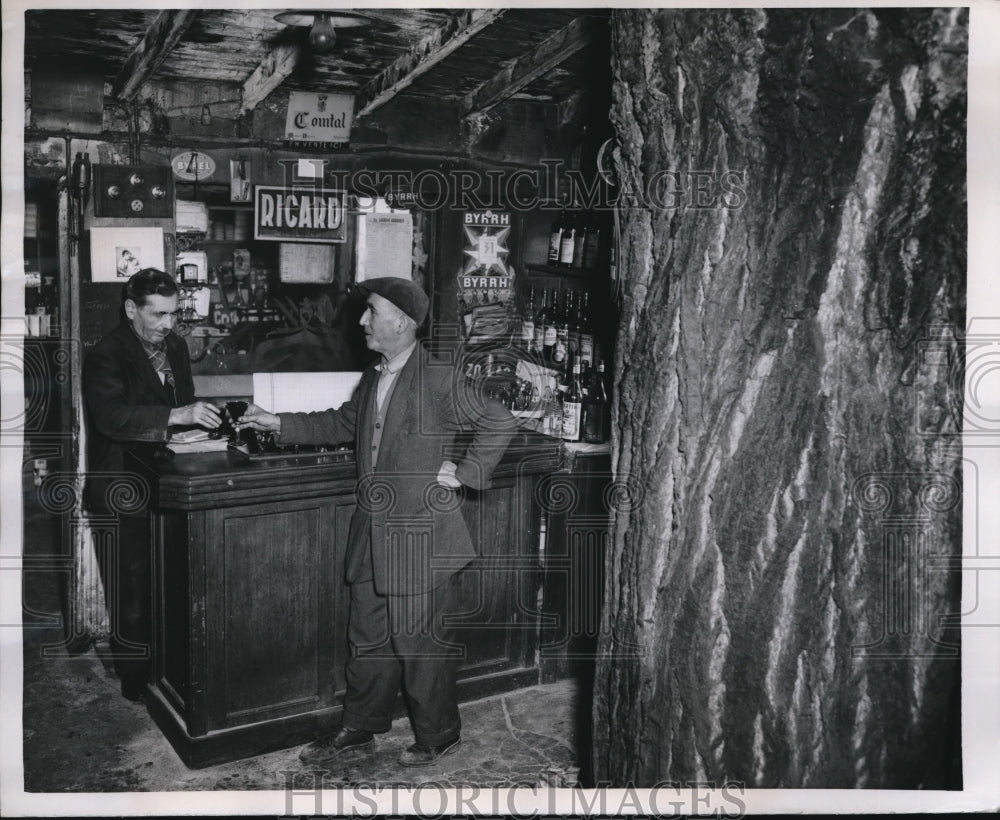1958 Press Photo oak tree in cafÃƒÆ’Ã†E™ÃƒE Ã¢â‚¬ÃƒÆ’Ã¢â‚¬Å¡ÃƒEšÃ‚Â© in Paris, Raymond Dubreuil & customers