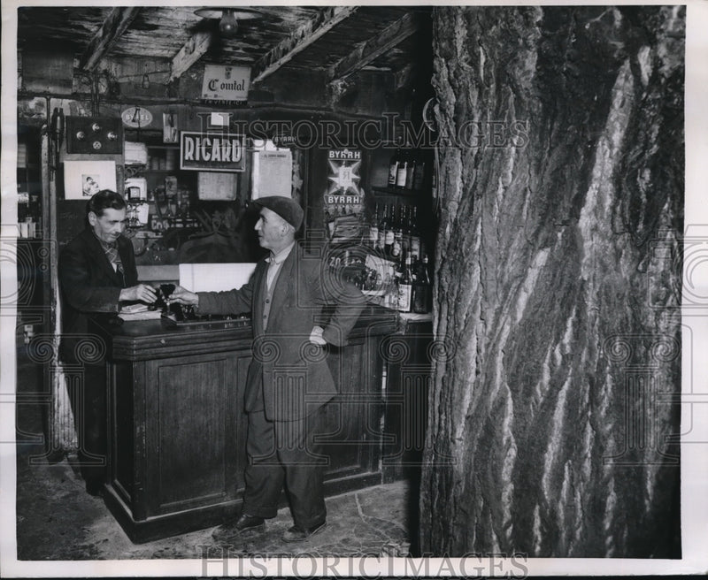 Load image into Gallery viewer, 1958 Press Photo oak tree in cafÃƒÆ’Ã†E™ÃƒE Ã¢â‚¬ÃƒÆ’Ã¢â‚¬Å¡ÃƒEšÃ‚Â© in Paris, Raymond Dubreuil &amp; customers

