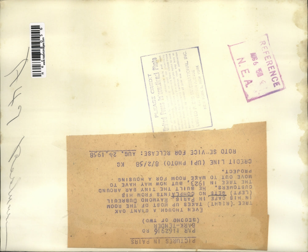 1958 Press Photo oak tree in cafÃƒÆ’Ã†E™ÃƒE Ã¢â‚¬ÃƒÆ’Ã¢â‚¬Å¡ÃƒEšÃ‚Â© in Paris, Raymond Dubreuil & customers