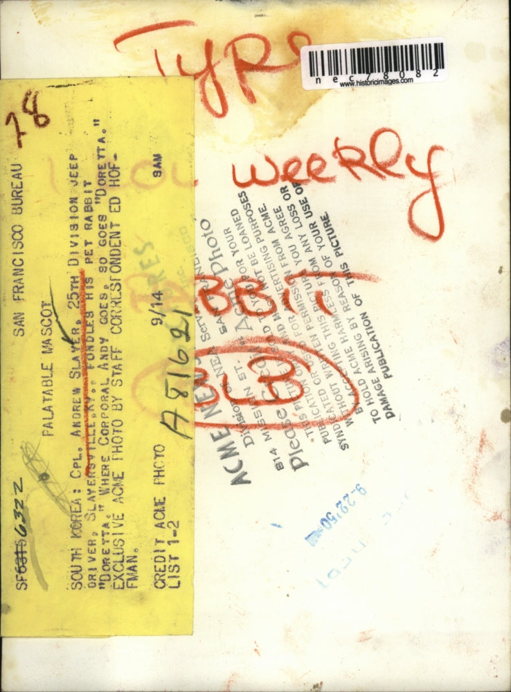 1950 Press Photo 25th Div. jeep driver Cpl. Andrew Slayer & pet rabbit, Doretta,