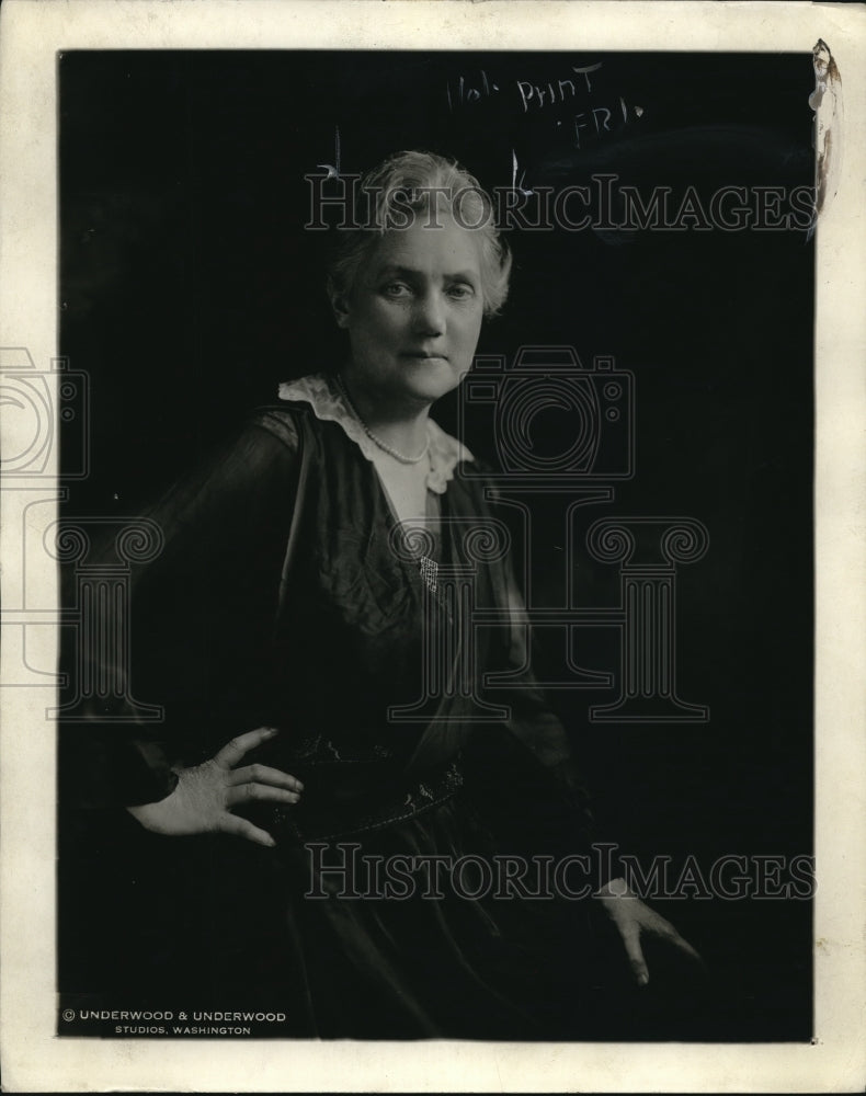 1929 Press Photo Mrs. Lawrence Lewis of Philadelphia-Nat'l Ratification Chairman