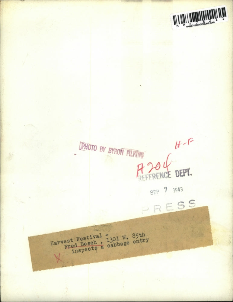 1943 Press Photo Fred Besch Inspects Cabbage Entry At Harvest Festival