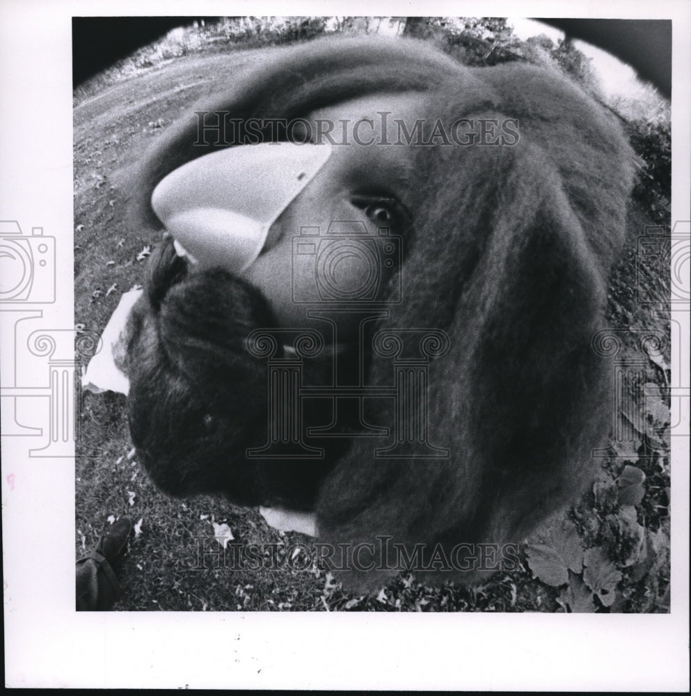 1964 Press Photo "Under that wig"