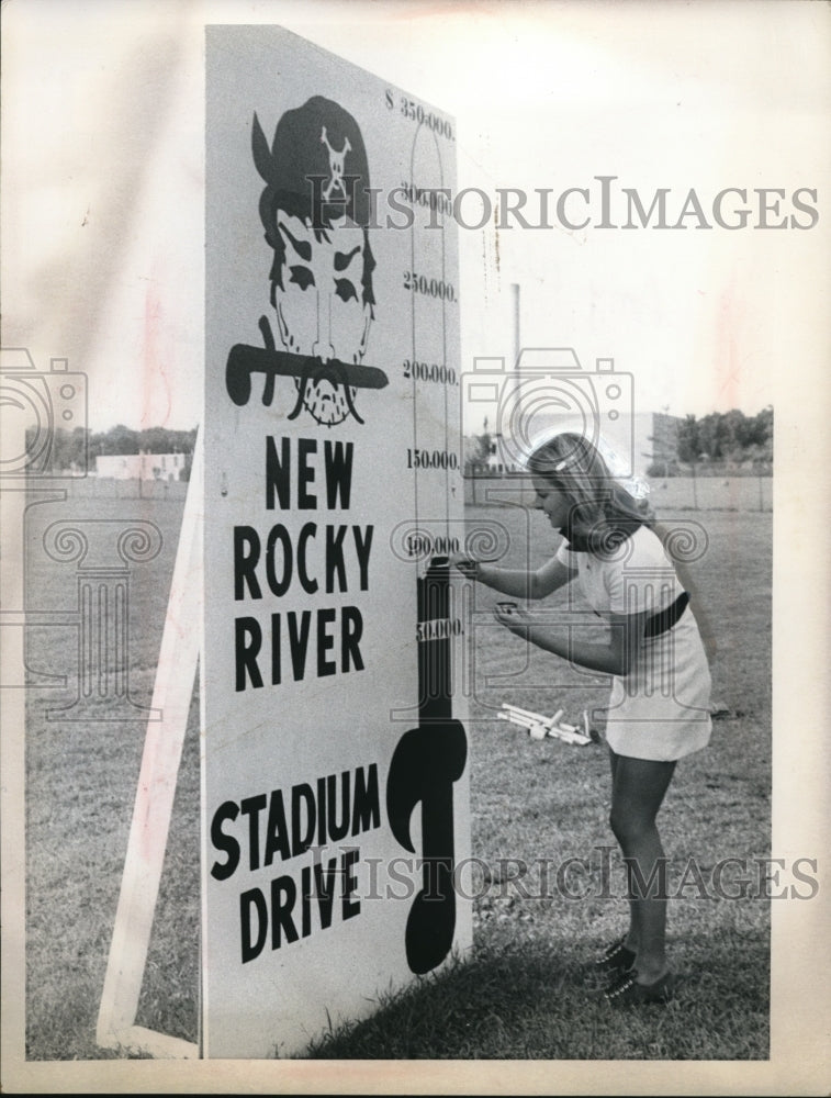 Load image into Gallery viewer, Press Photo Amy Wismar, R. River HS student adding paint to fund
