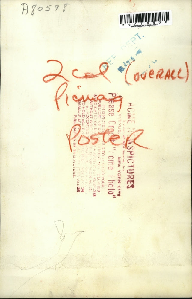 1951 Press Photo Poster of United Nation Week for Peace.