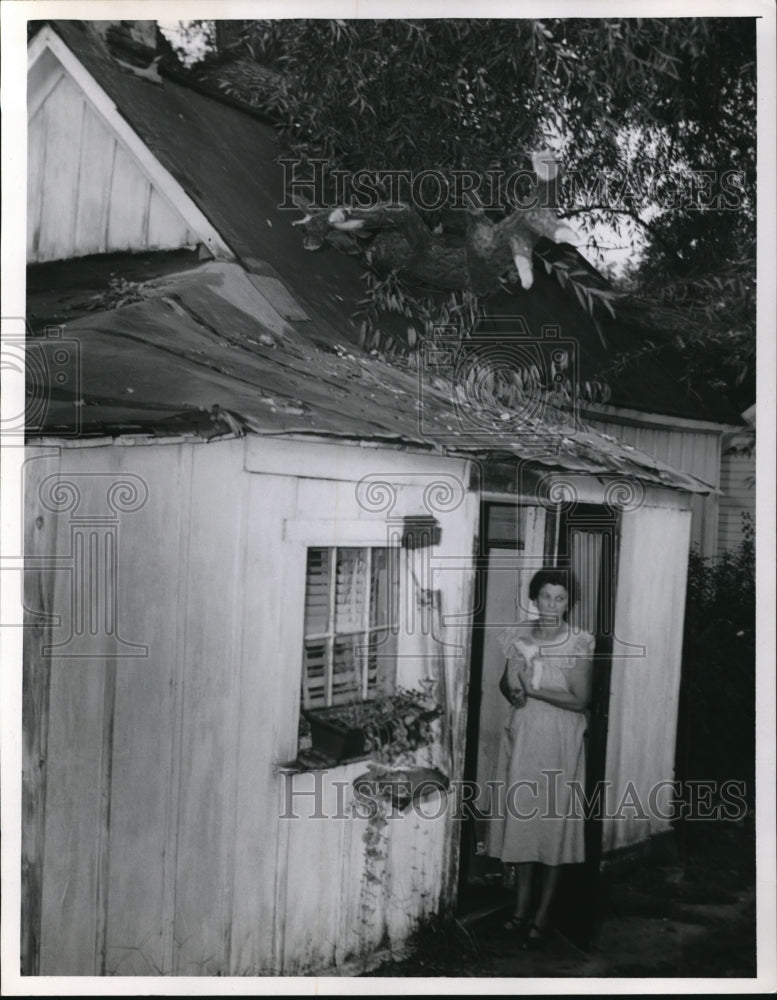 Load image into Gallery viewer, 1955 Press Photo Mrs. Robert Scharf house roof covered with tree.
