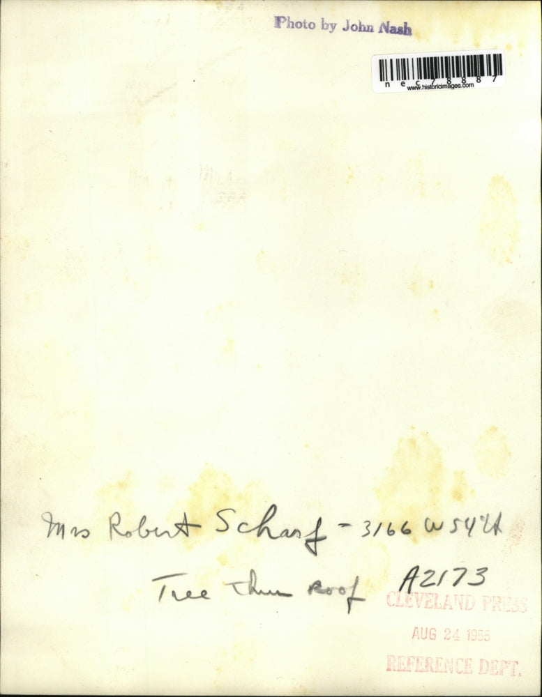 1955 Press Photo Mrs. Robert Scharf house roof covered with tree.