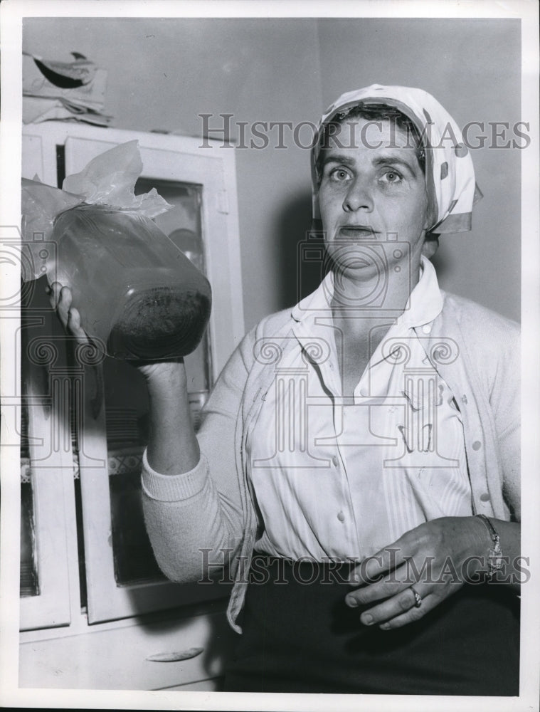 1958 Press Photo Mrs. Richard Vogt of Twinsburg