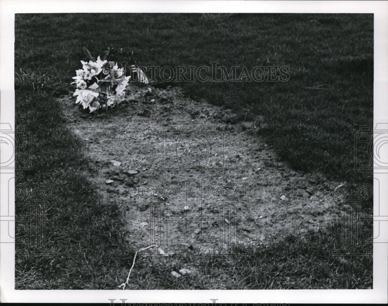 Load image into Gallery viewer, 1968 Press Photo Greg Fishers grave at Sunset Memorial Park in Cleveland

