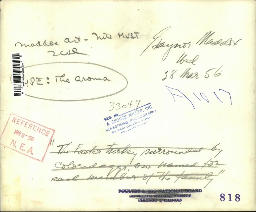 1956 Press Photo Decorations and Family Member named eggs for Easter turkey