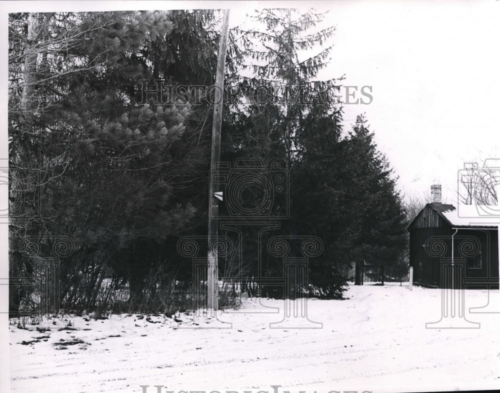 1956 Press Photo Brooklyn Exchange Camp Hinkley Reservation