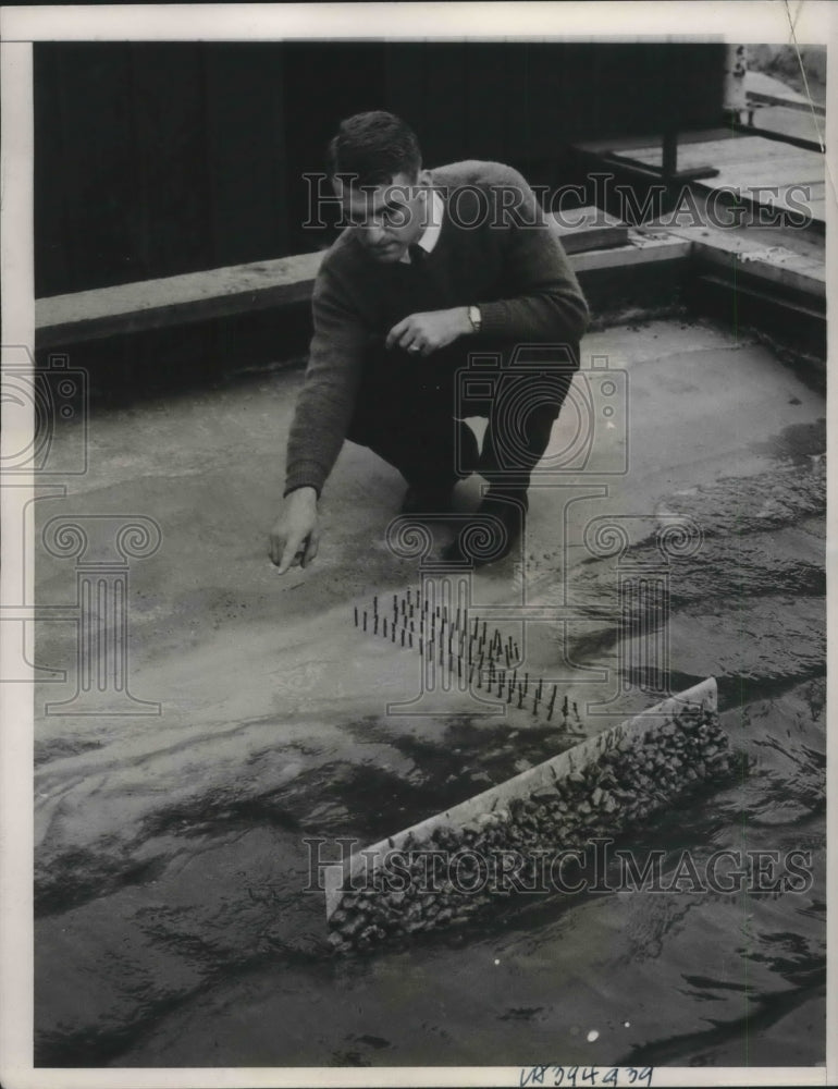 1937 Press Photo Lt WW Lapsley study Calf beach erosion for US Army