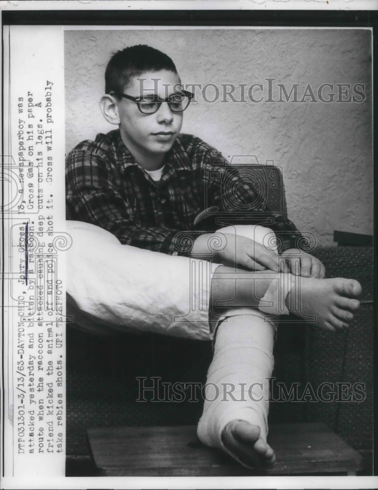 Load image into Gallery viewer, 1963 Press Photo Dayton, Ohio Jerry Gross newsboy bitten by a raccoon
