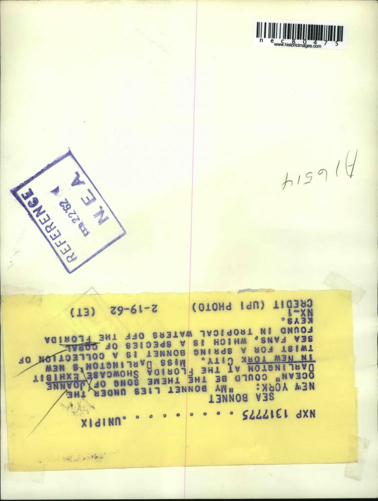 1962 Press Photo NYC Joanne Darlington at Florida showcase of fashions