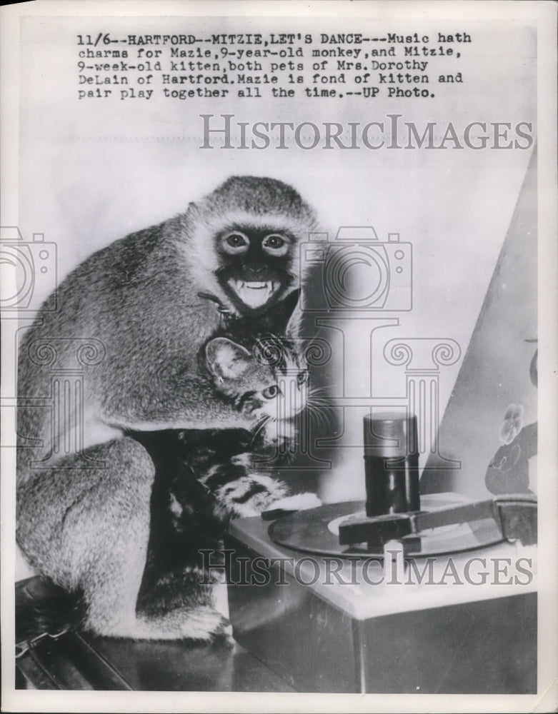 Load image into Gallery viewer, 1953 Press Photo Mazie, 9-year-old monkey &amp; Mitzie, 9-week-old kitten
