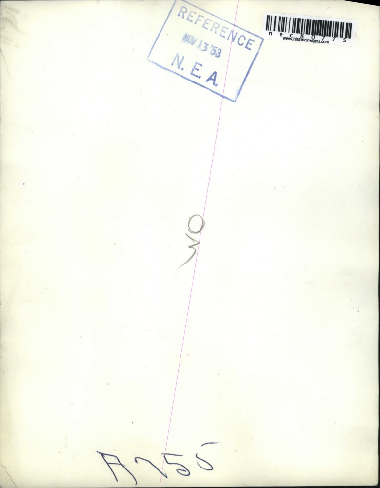 1953 Press Photo Mazie, 9-year-old monkey & Mitzie, 9-week-old kitten