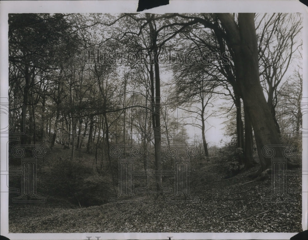1930 Press Photo Beautifying stretch of roads between Denham and Richmansworth