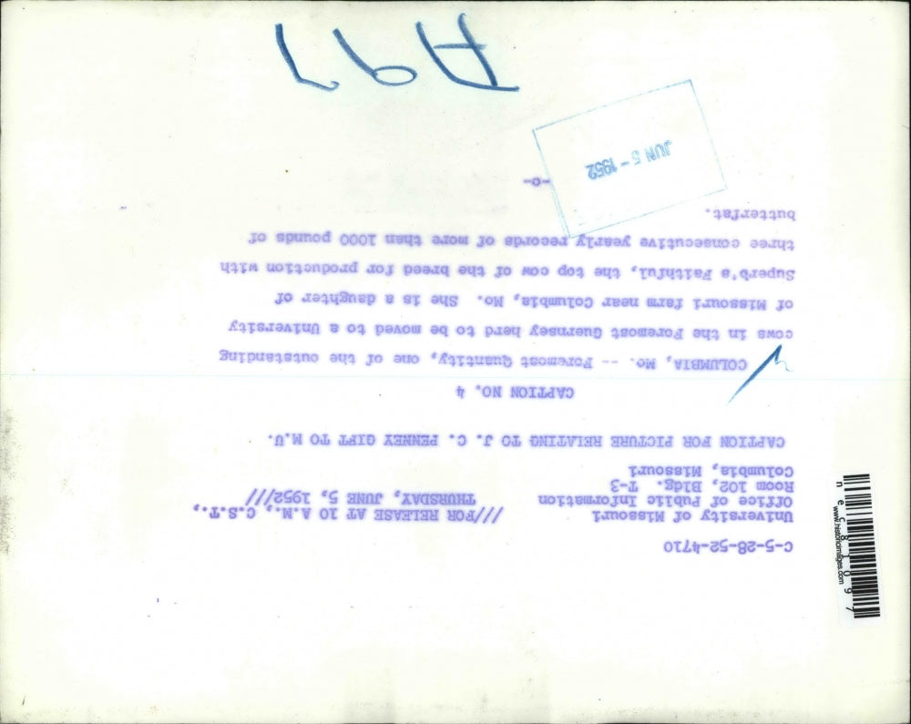 1952 Press Photo Columbia, Mo Foremost Quanity , Guernsey cow