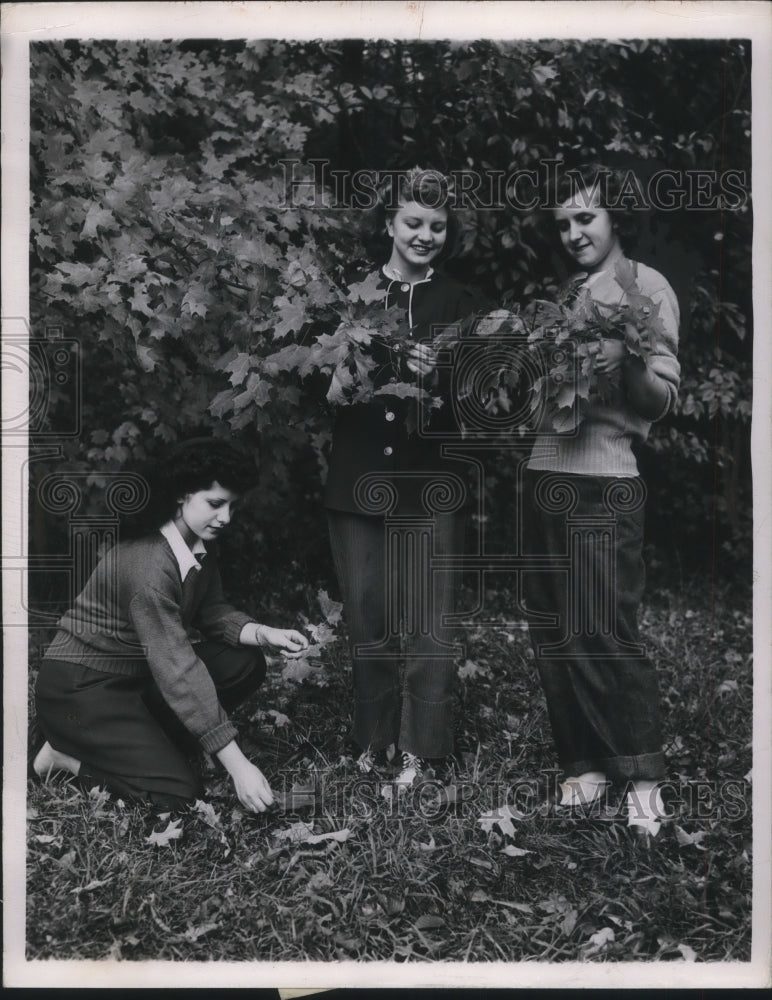 1948 Press Photo girls gathering leaves in Cleveland Parks