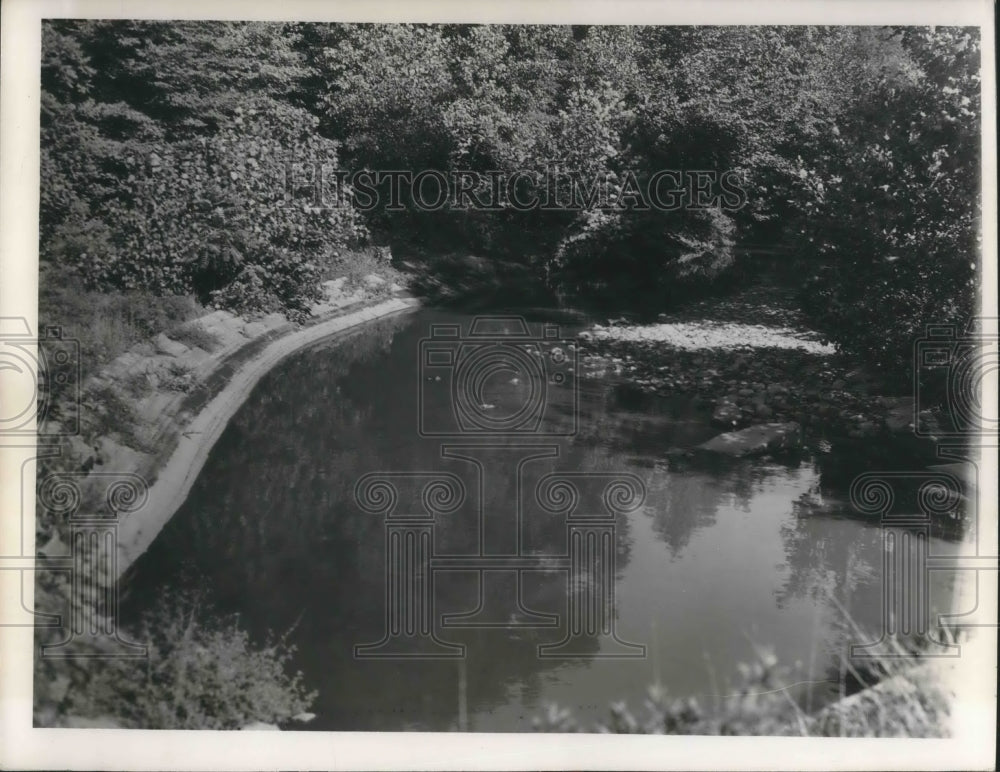 1952 Press Photo Dugway Brook in Bretenall Ohio with pollution in it