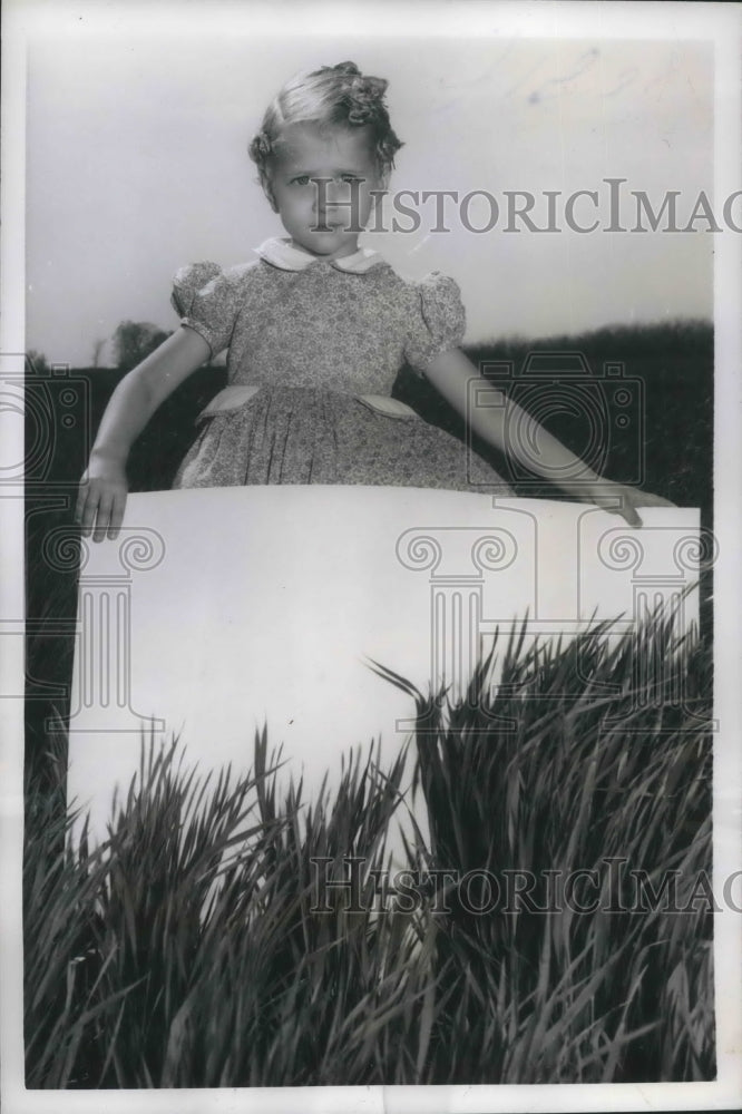 1955 Press Photo Young Shery Clawson shows how tall the wheat has grown in MO.