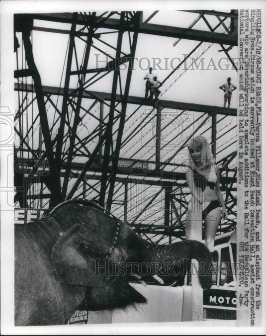 1968 Press Photo Verena Villamor, Miss Miami Beach, with circus elephant
