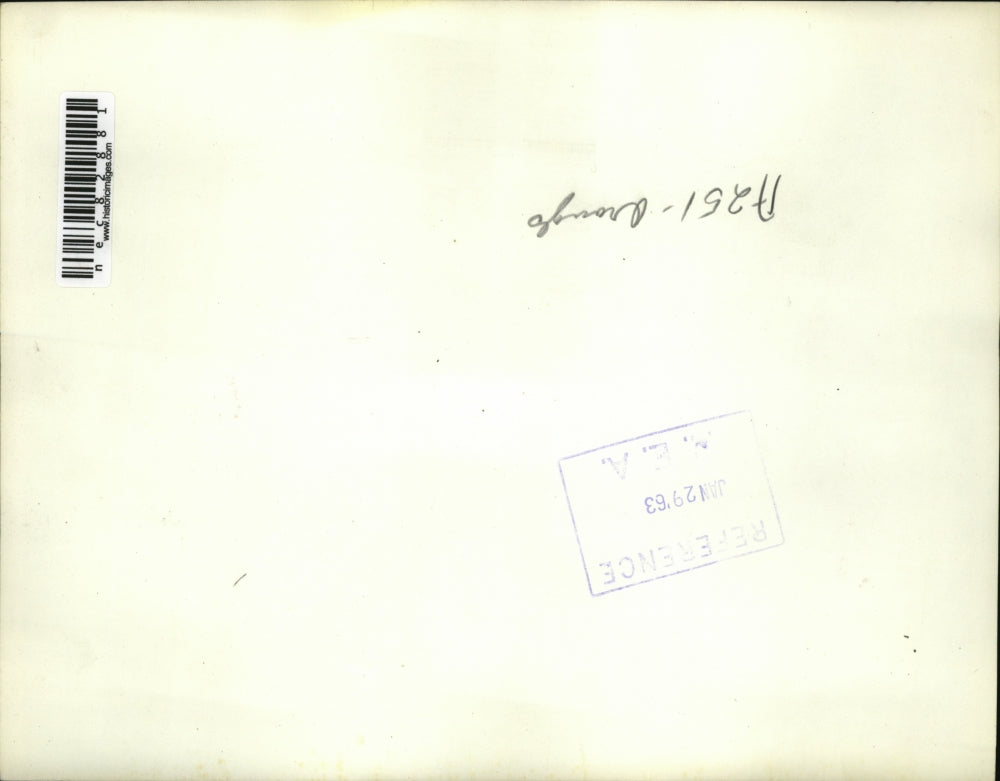 1962 Press Photo icicles hang from orange trees near Orlando, FL in record cold