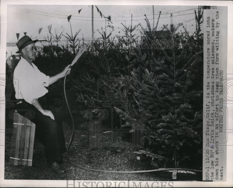 Load image into Gallery viewer, 1955 Press Photo Irvin Amick Christmas tree Salesman watering down his Tree.
