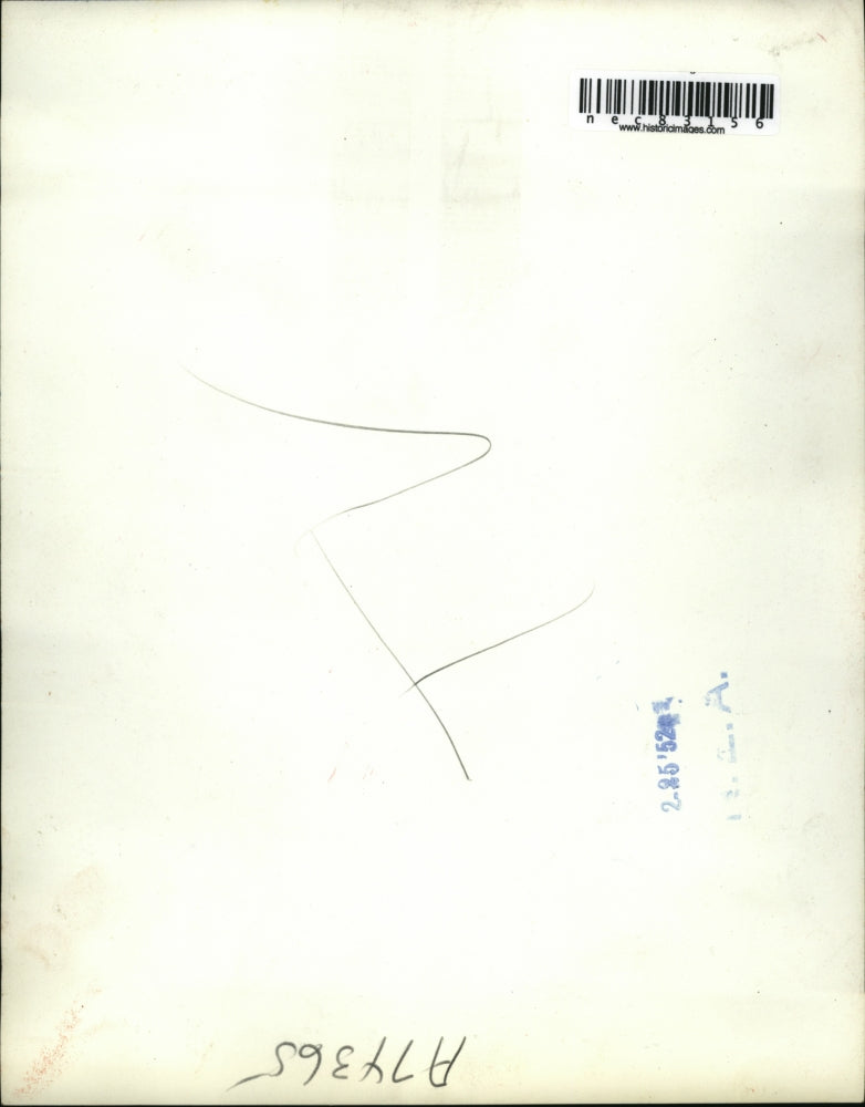 1952 Press Photo John D. Small Chairman of the Munitions Board at Senate.