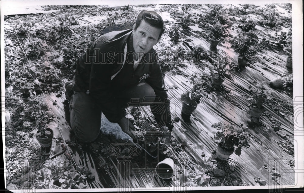 1970 Press Photo Robert Chester Gardener with City Pardon Division.