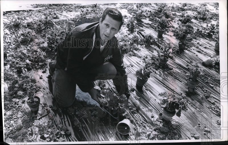Load image into Gallery viewer, 1970 Press Photo Robert Chester Gardener with City Pardon Division.
