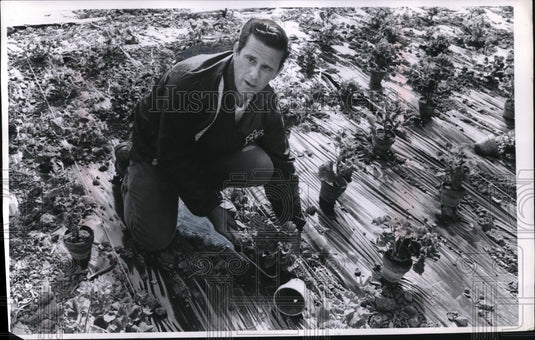 1970 Press Photo Robert Chester Gardener with City Pardon Division.