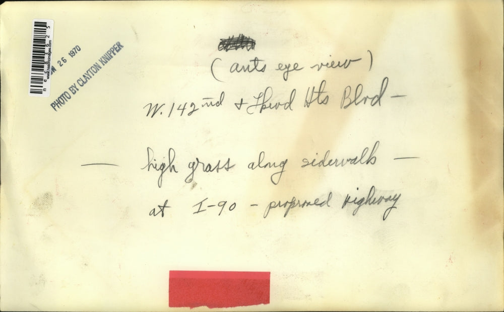 1970 Press Photo High Grass along sidewalks at proposed Highway in Cleveland